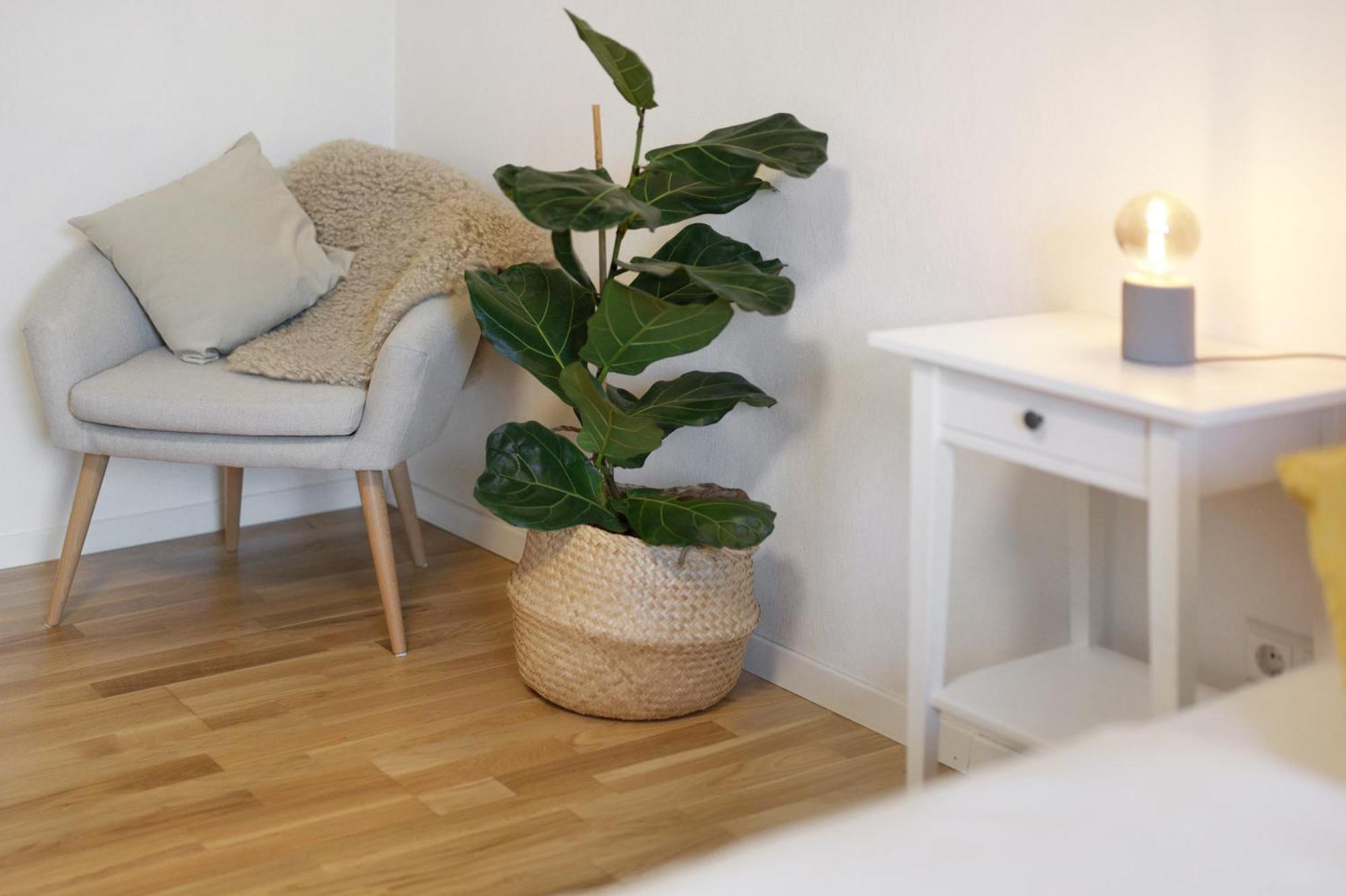 Ferienwohnung Obsthof Fiess Оберкирх Экстерьер фото